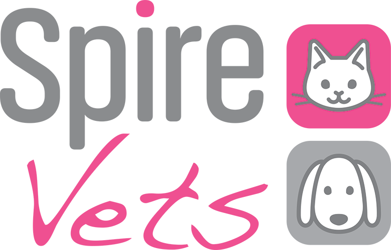Visit Spire Vets home page