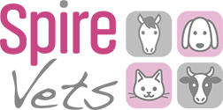 Spire Vets logo image
