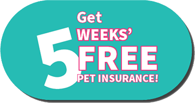 5 Weeks Free Pet Insurance